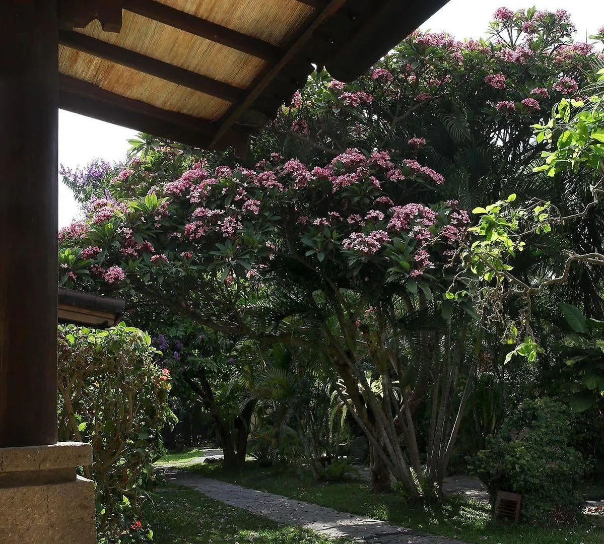 Villa Lalu Seminyak  Seminyak (Bali)
